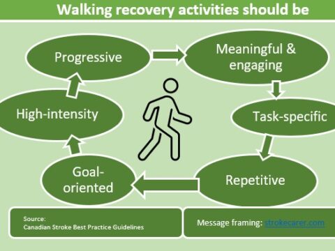 a human walking in the middle surrounded by six basic rules of movement recovery